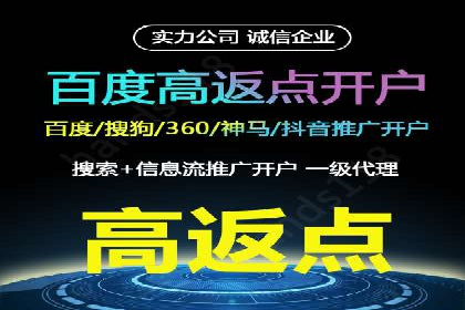 传统企业转型中的SEM服务托管策略研究